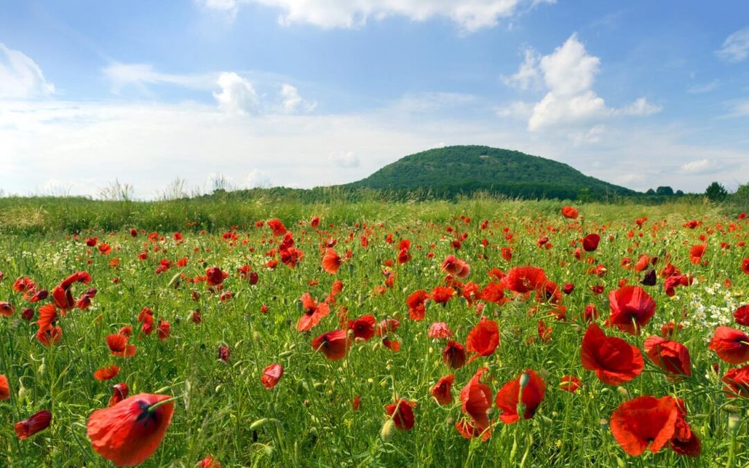 Společný výlet na horu Říp